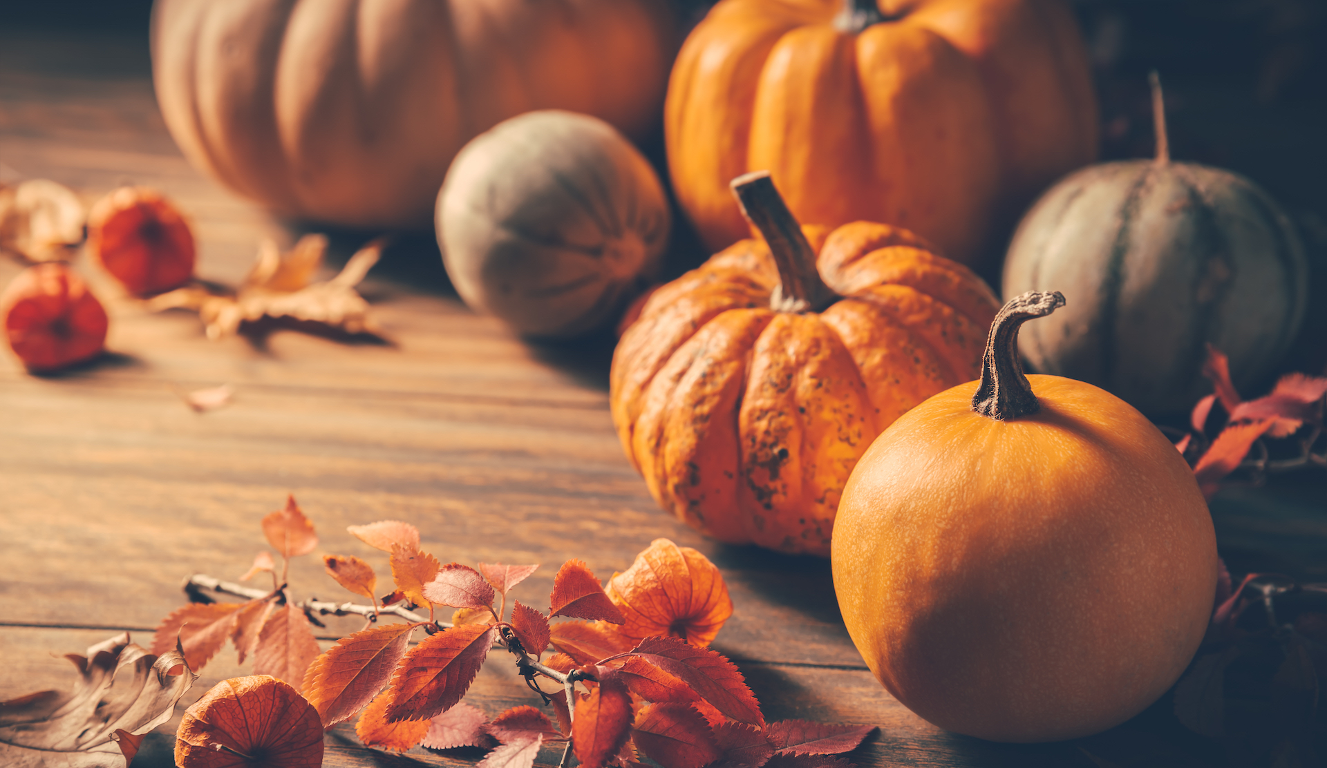 LRMAI Thanksgiving Holiday